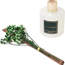 Cocorrína Reed Diffuser Sets- Eucalyptus & Moss Scented Diffuser with Sticks Home Fragrance Reed Diffuser for Bathroom Shelf Decor