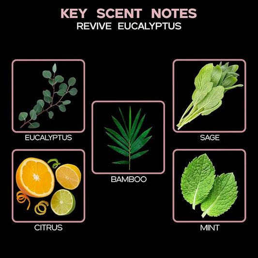 LOVSPA Eucalyptus Reed Diffuser Set for Home, Revive Fresh Eucalyptus, Sage, Citrus & Mint Scent Diffuser with Sticks for Bathroom Shelf Decor Accessories, Top Aromatherapy Gift for Women