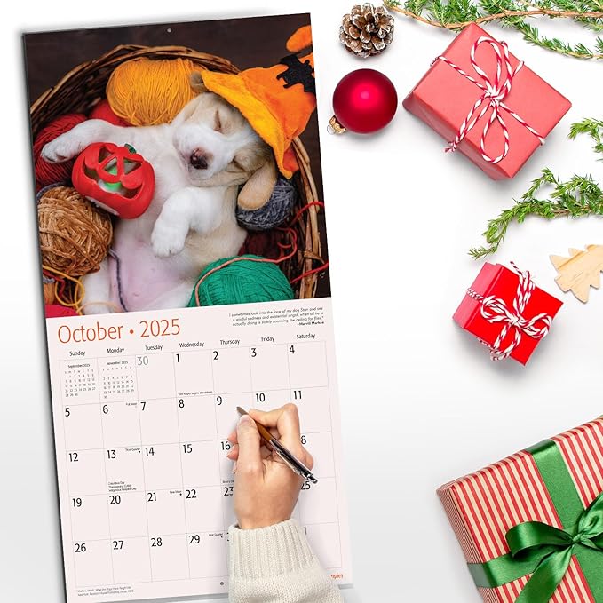 RED EMBER Beagle Puppies 2025 Wall Calendar 12 Month | 12" x 24" Open | Thick & Sturdy Paper | Giftable | Dog Calendar 2025