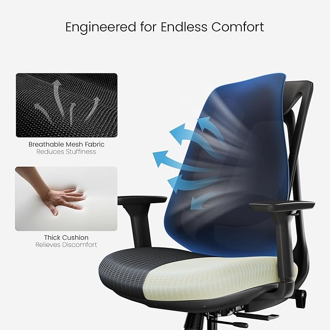 EUREKA ERGONOMIC Office Chair, Ergonomic Computer Desk Chairs with Lumbar Support, 3D Adjustable Armrests, Work Chair with Wheels for Office and Home, Black