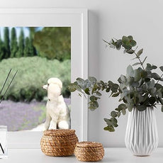 Rainier’s Gifts Reed Diffuser Set (Rosemary & Sage) - Scented Oil Diffuser Sticks - Home Fragrance Aromatherapy Air Freshener 6.5 fl oz