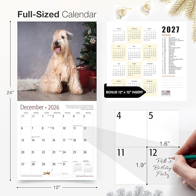 RED EMBER Soft Coated Wheaten Terriers 2026 Wall Calendar 12 Month | 12" x 24" Open | Thick & Sturdy Paper | Holiday Gift | Cute Puppy Dog Calendar 2026