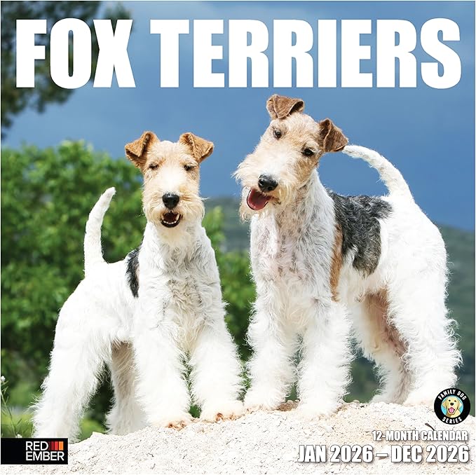 RED EMBER Fox Terriers 2026 Wall Calendar 12 Month | 12" x 24" Open | Thick & Sturdy Paper | Holiday Gift | Cute Puppy Dog Calendar 2026