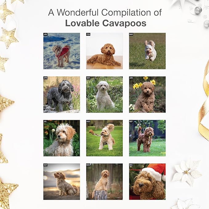 RED EMBER Cavapoos 2026 Wall Calendar 12 Month | 12" x 24" Open | Thick & Sturdy Paper | Holiday Gift | Cute Puppy Dog Calendar 2026