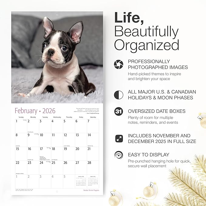 RED EMBER Boston Terrier Puppies 2026 Wall Calendar 12 Month | 12" x 24" Open | Thick & Sturdy Paper | Holiday Gift | Cute Puppy Dog Calendar 2026