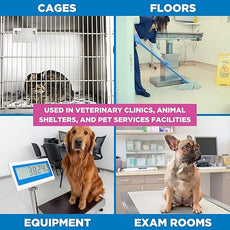 REScue Canister Wipes & RTU 32oz Disinfectant & Gallon Concentrate – Disinfectant Cleaner for Vet Use, Designed to Clean Kennels, Litter Boxes & More