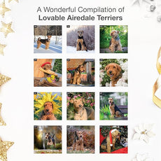 RED EMBER Airedale Terriers 2026 Wall Calendar 12 Month | 12