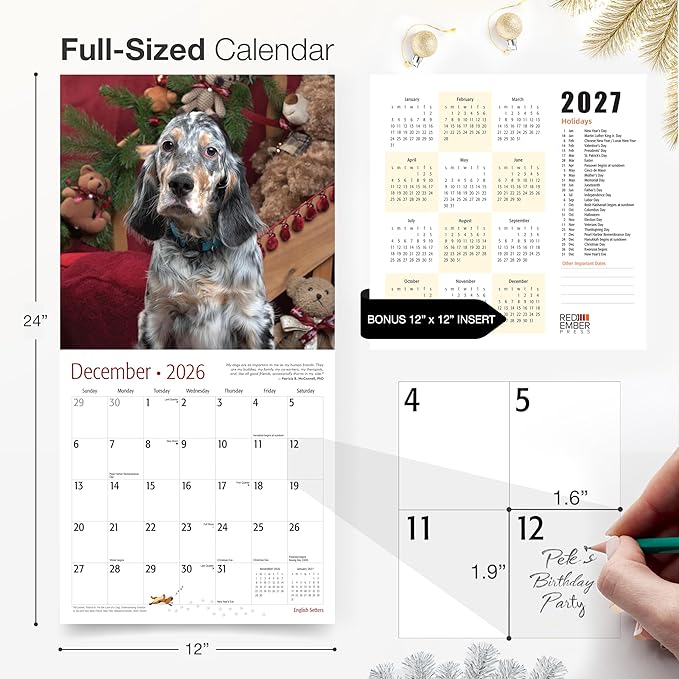 RED EMBER English Setters 2026 Wall Calendar 12 Month | 12" x 24" Open | Thick & Sturdy Paper | Holiday Gift | Cute Puppy Dog Calendar 2026