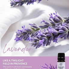 Essence Pearl Travel Case - Wearable Aromatherapy Kit with Nasal Diffuser Rings, Soaking Bay, and 5mL Essential Oil – Portable Wellness Gift Set for On?The?Go Self Care