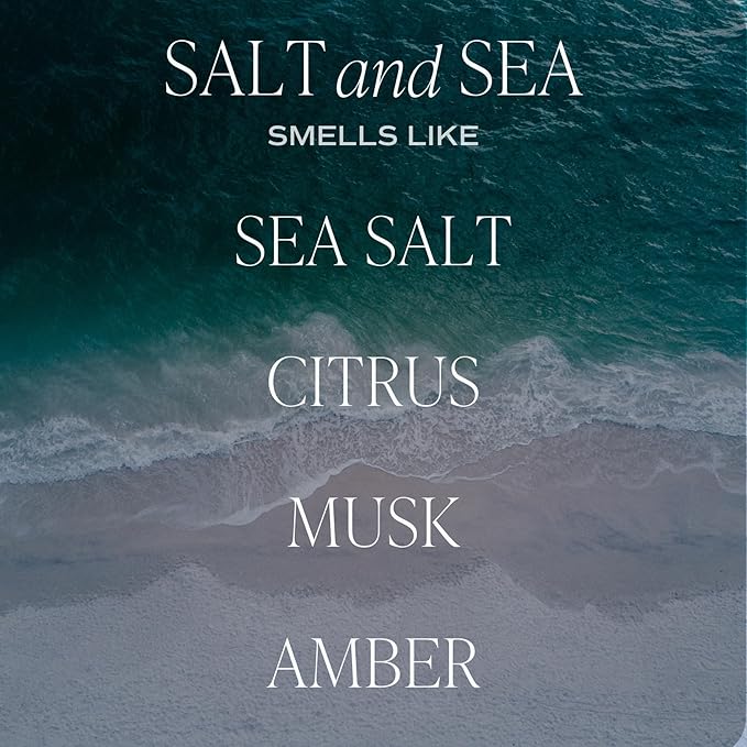 Sweet Water Decor Salt and Sea Reed Diffuser – Room Decor Aesthetic with Long-Lasting Premium Fragrance of Sea Salt, Citrus, Musk, and Amber for 4 Months – Ideal for Home Decor