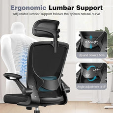 Ergonomic Office Desk Chair, Home Mesh Office Desk Chairs with Adjustable Lumbar Support, Headrest, Flip-up Armrests, High Back Computer Chair for Gaming, Work, Black
