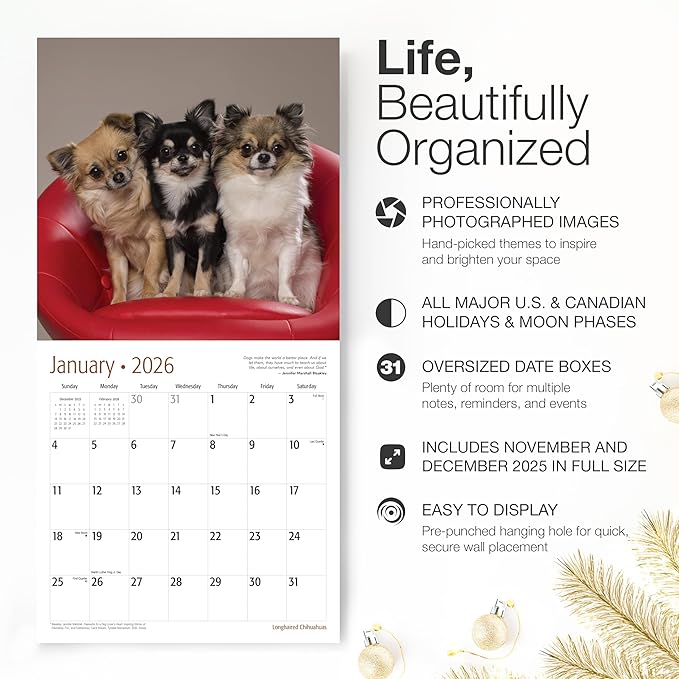 RED EMBER Longhaired Chihuahuas 2026 Wall Calendar 12 Month | 12" x 24" Open | Thick & Sturdy Paper | Holiday Gift | Cute Puppy Dog Calendar 2026
