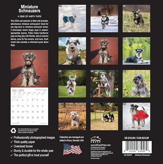 MICASA PRESS - Miniature Schnauzers 2025 Wall Calendar 12 Month | 12" x 24" Open | Thick & Sturdy Paper | Giftable | Calendar 2025