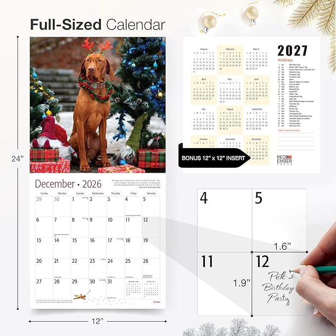 RED EMBER Vizslas 2026 Wall Calendar 12 Month | 12" x 24" Open | Thick & Sturdy Paper | Holiday Gift | Cute Puppy Dog Calendar 2026