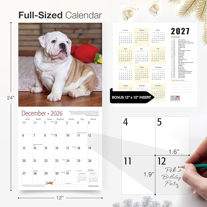 RED EMBER Bulldog Puppies 2026 Wall Calendar 12 Month | 12" x 24" Open | Thick & Sturdy Paper | Holiday Gift | Cute Puppy Dog Calendar 2026