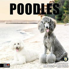 RED EMBER Poodles 2026 Wall Calendar 12 Month | 12