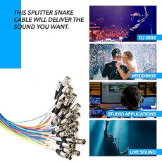 Seismic Audio - SARMSS-32x1515 - 32 Channel XLR TRS Combo Splitter Snake Cable - two 15' XLR trunks