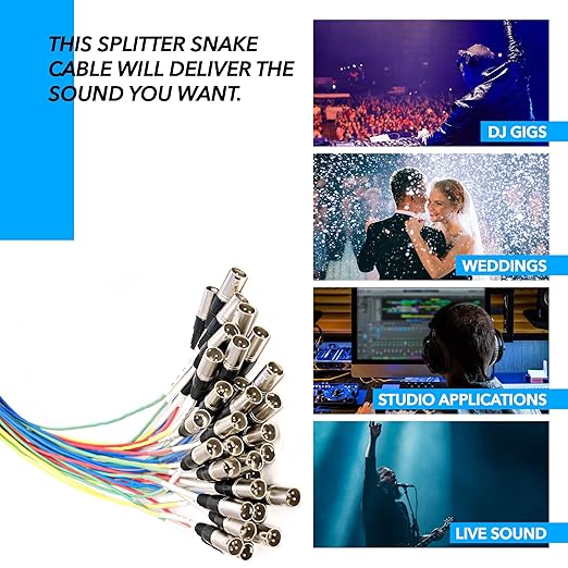 Seismic Audio - SARMSS-32x1515 - 32 Channel XLR TRS Combo Splitter Snake Cable - two 15' XLR trunks