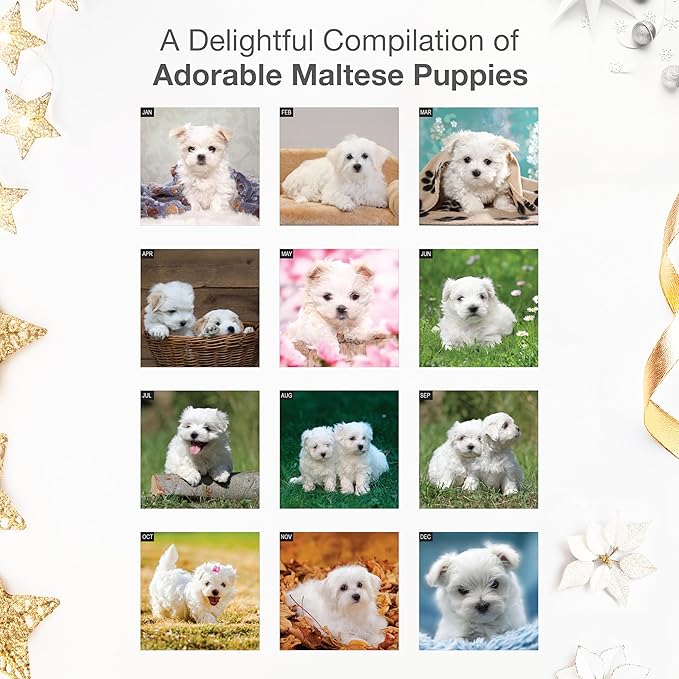 RED EMBER Maltese Puppies 2026 Wall Calendar 12 Month | 12" x 24" Open | Thick & Sturdy Paper | Holiday Gift | Cute Puppy Dog Calendar 2026