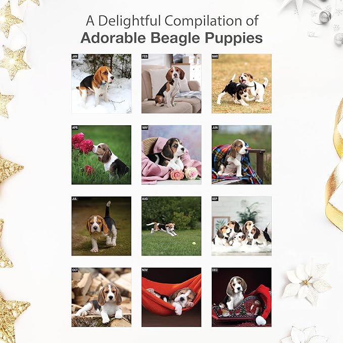 RED EMBER Beagle Puppies 2026 Wall Calendar 12 Month | 12" x 24" Open | Thick & Sturdy Paper | Holiday Gift | Cute Puppy Dog Calendar 2026