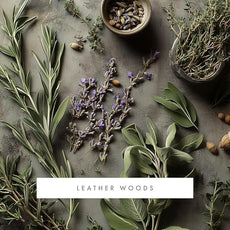 ScentAir Whisper Home Monthly Plug-in Refill, Fragrance Cartridge for Home and Office, Amazon Exclusive, Leather Woods