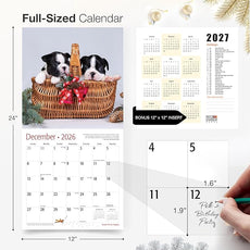 RED EMBER Boston Terrier Puppies 2026 Wall Calendar 12 Month | 12