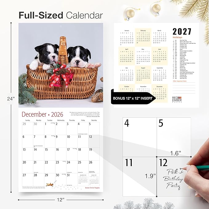 RED EMBER Boston Terrier Puppies 2026 Wall Calendar 12 Month | 12" x 24" Open | Thick & Sturdy Paper | Holiday Gift | Cute Puppy Dog Calendar 2026