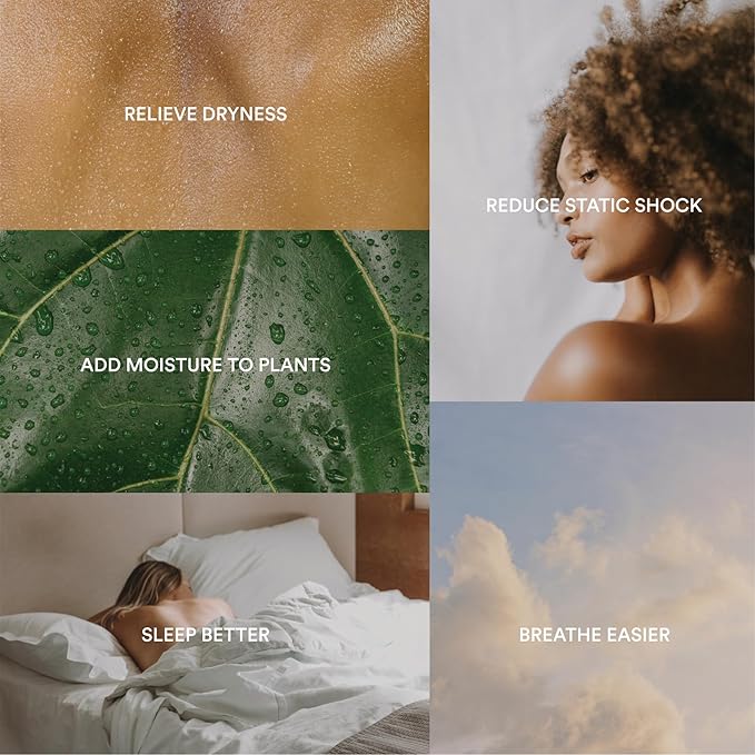 Homedics Cool Mist Ultrasonic Humidifier, 8-Colors Night Light, 0.66 Gal Top-Fill Tank, 24Hr Runtime, 3 Mist Settings, 360° Mist for 329 sq ft Rooms, Aromatherapy, Clean Tank Tech, Auto Shutoff