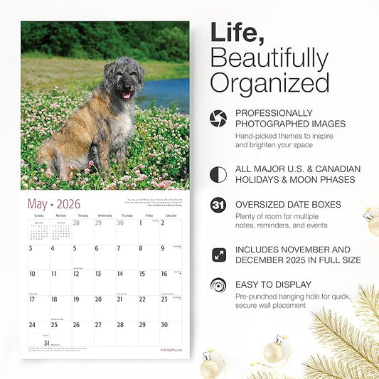 RED EMBER Irish Wolfhounds 2026 Wall Calendar 12 Month | 12" x 24" Open | Thick & Sturdy Paper | Holiday Gift | Cute Puppy Dog Calendar 2026