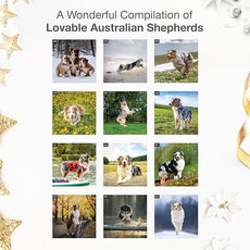 RED EMBER Australian Shepherds Aussies 2026 Wall Calendar 12 Month | 12