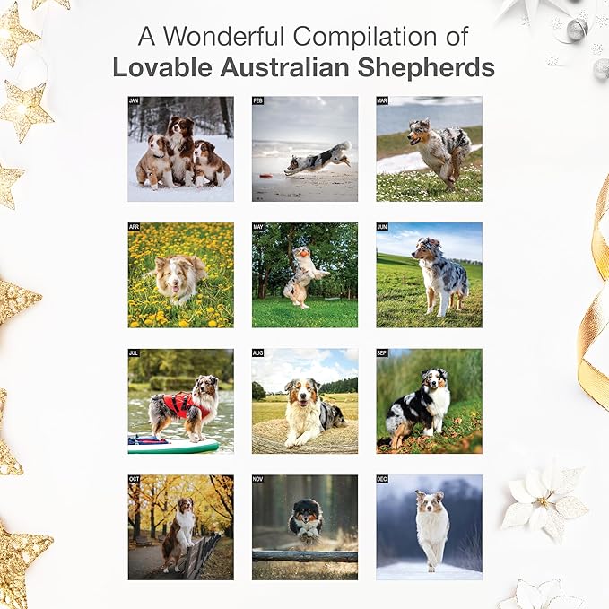 RED EMBER Australian Shepherds Aussies 2026 Wall Calendar 12 Month | 12" x 24" Open | Thick & Sturdy Paper | Holiday Gift | Cute Puppy Dog Calendar 2026
