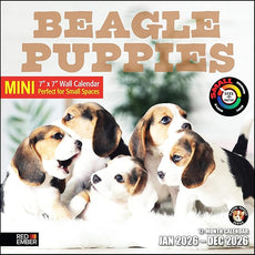 RED EMBER Beagle Puppies 2026 Mini Wall Calendar 12 Month | 7