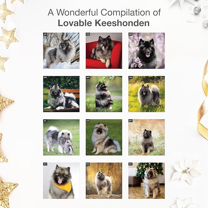 RED EMBER Keeshonden 2026 Wall Calendar 12 Month | 12" x 24" Open | Thick & Sturdy Paper | Holiday Gift | Cute Puppy Dog Calendar 2026