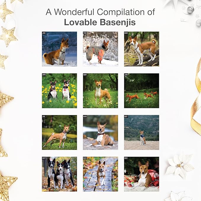 RED EMBER Basenjis 2026 Wall Calendar 12 Month | 12" x 24" Open | Thick & Sturdy Paper | Holiday Gift | Cute Puppy Dog Calendar 2026