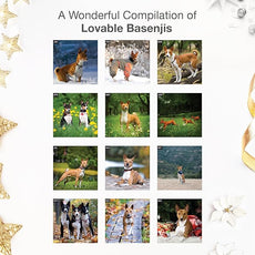 RED EMBER Basenjis 2026 Wall Calendar 12 Month | 12