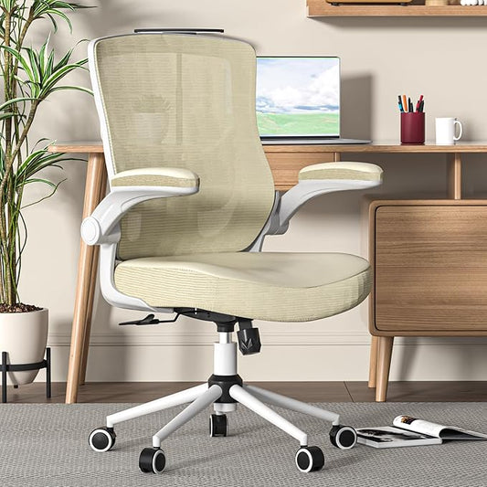 Office Chair, High Back Desk Chair Adjustable Height and Ergonomic Design Home Office Computer Chair Executive Lumbar Support Padded Flip-up Armrest