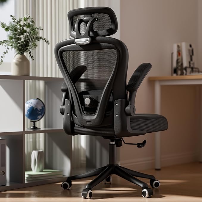 Ergonomic Office Chair M903, Computer Desk Chair with Wheels, High Back Mesh Office Chair with Adjustable Lumbar Support, Headrest, Flip-Up Armrests, Black