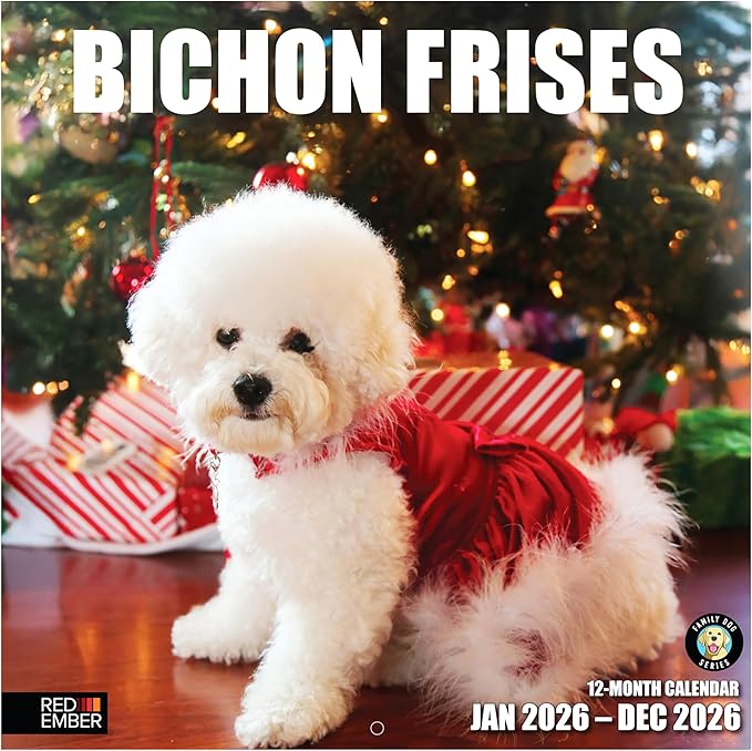 RED EMBER Bichon Frises 2026 Wall Calendar 12 Month | 12" x 24" Open | Thick & Sturdy Paper | Holiday Gift | Cute Puppy Dog Calendar 2026