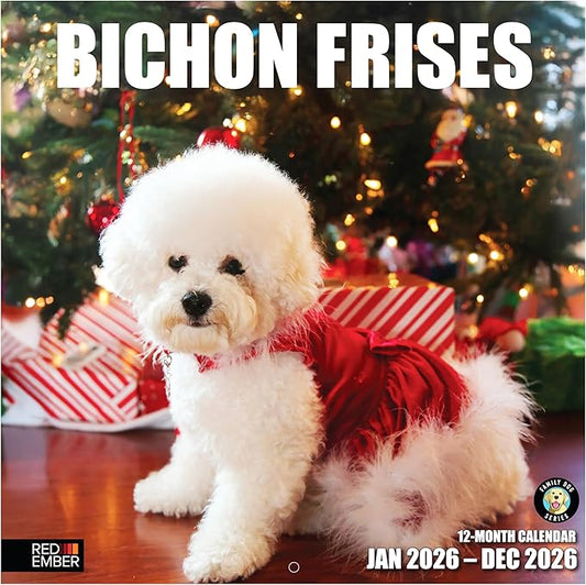 RED EMBER Bichon Frises 2026 Wall Calendar 12 Month | 12" x 24" Open | Thick & Sturdy Paper | Holiday Gift | Cute Puppy Dog Calendar 2026