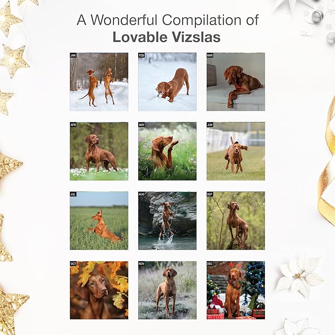 RED EMBER Vizslas 2026 Wall Calendar 12 Month | 12" x 24" Open | Thick & Sturdy Paper | Holiday Gift | Cute Puppy Dog Calendar 2026