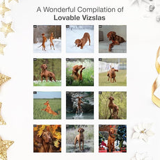 RED EMBER Vizslas 2026 Wall Calendar 12 Month | 12