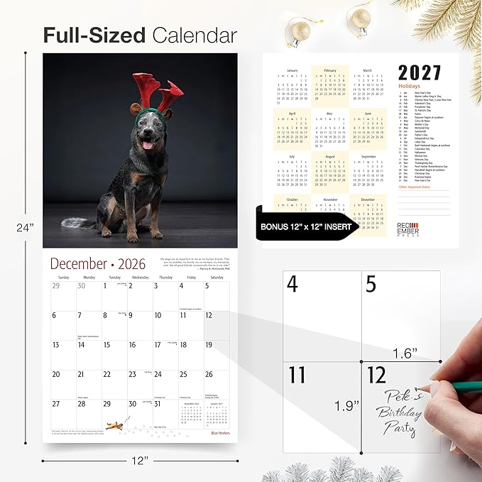 RED EMBER Blue Heelers 2026 Wall Calendar 12 Month | 12" x 24" Open | Thick & Sturdy Paper | Holiday Gift | Cute Puppy Dog Calendar 2026