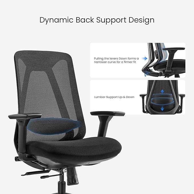 EUREKA ERGONOMIC Office Chair, Ergonomic Computer Desk Chairs with Lumbar Support, 3D Adjustable Armrests, Work Chair with Wheels for Office and Home, Black