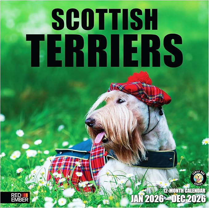 RED EMBER Scottish Terriers 2026 Wall Calendar 12 Month | 12" x 24" Open | Thick & Sturdy Paper | Holiday Gift | Cute Puppy Dog Calendar 2026
