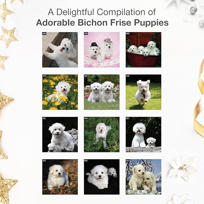 RED EMBER Bichon Frise Puppies 2026 Wall Calendar 12 Month | 12" x 24" Open | Thick & Sturdy Paper | Holiday Gift | Cute Puppy Dog Calendar 2026