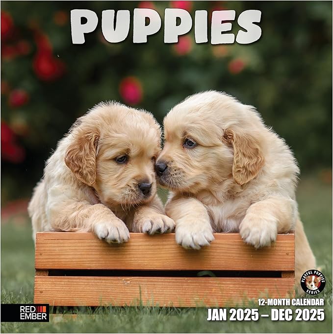 RED EMBER Puppies 2025 Wall Calendar 12 Month | 12" x 24" Open | Thick & Sturdy Paper | Giftable | Dog Calendar 2025