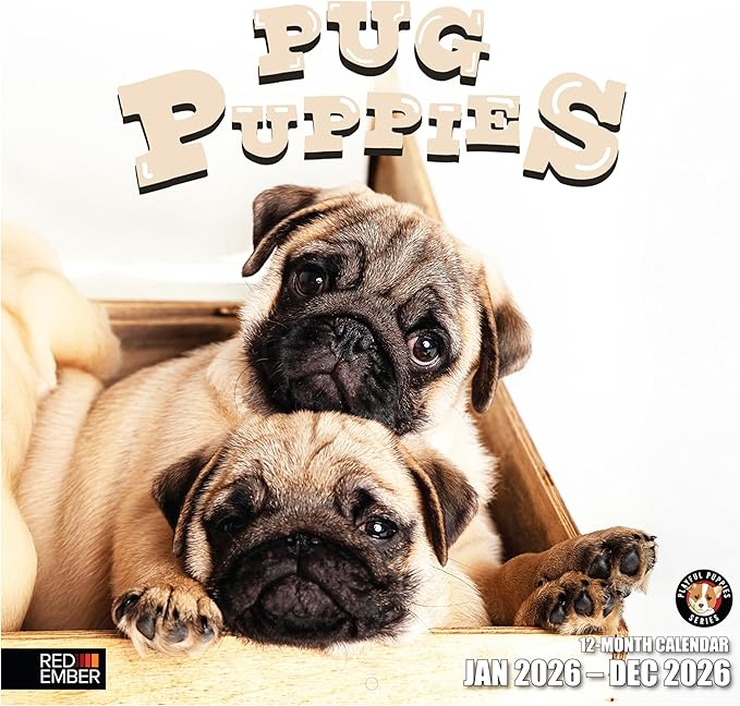 RED EMBER Pug Puppies 2026 Wall Calendar 12 Month | 12" x 24" Open | Thick & Sturdy Paper | Holiday Gift | Cute Puppy Dog Calendar 2026