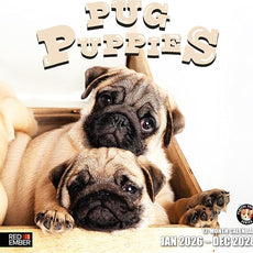 RED EMBER Pug Puppies 2026 Wall Calendar 12 Month | 12