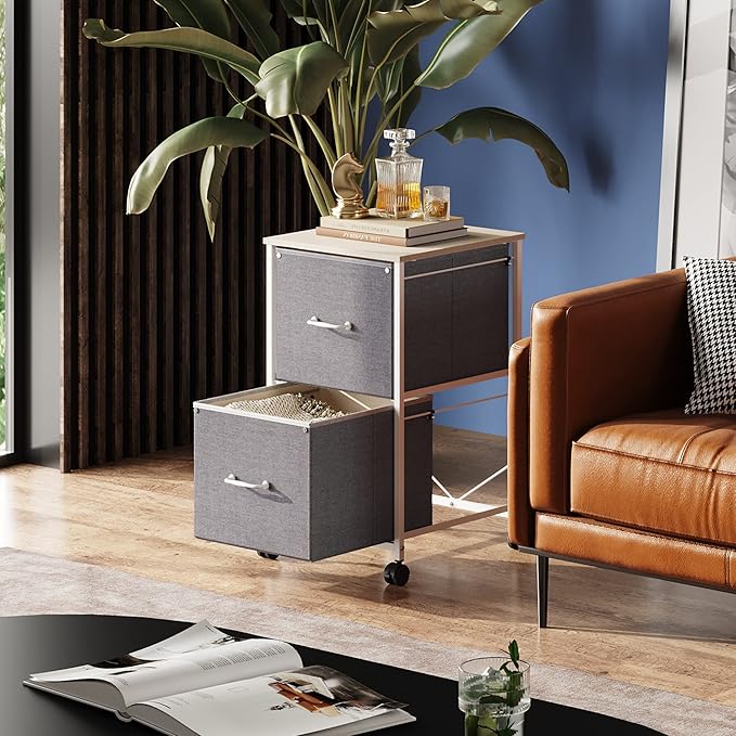 DEVAISE 2 Drawer Mobile File Cabinet, Rolling Printer Stand, Fabric Vertical Filing Cabinet fits A4 or Letter Size for Home Office, Light Grey
