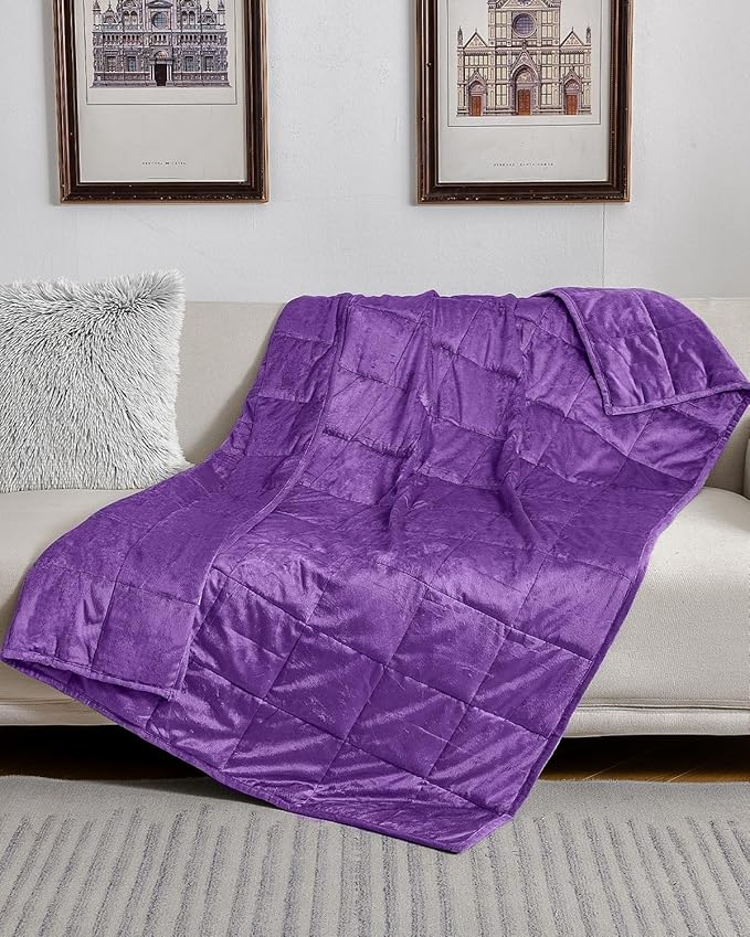 Topblan Weighted Blanket Queen Size 15lbs, Adult Weighted Blankets with Soft Warm Fabric for Sleeping and Calming, Adult Heavy Blanket for Sofa Bed, Purple, 60 x 80 inches